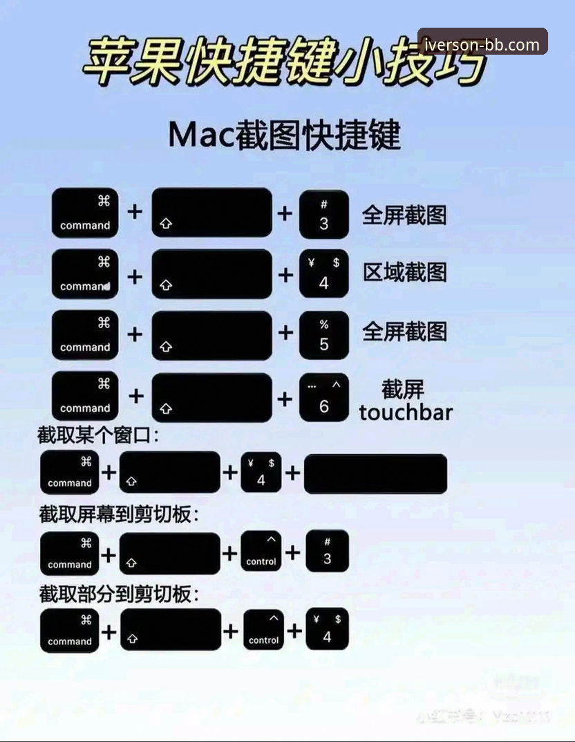 bb娱乐官网新手使用教程：从入门到精通的操作技巧与实战经验